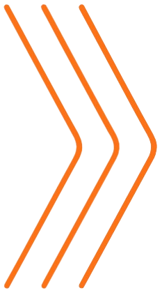 Seta